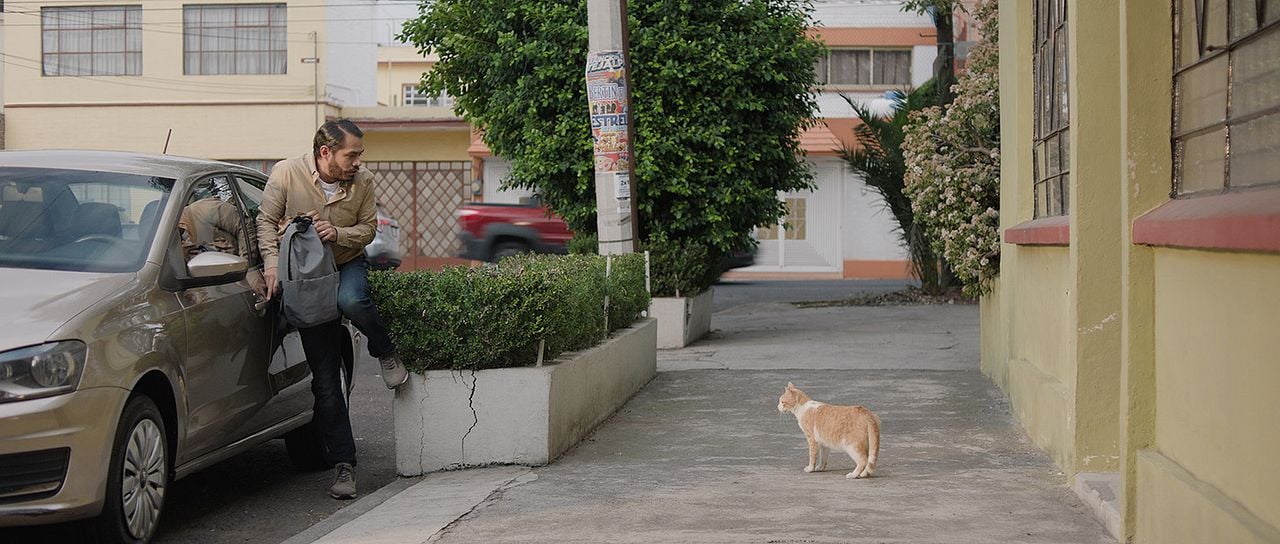 Borrón y vida nueva : Foto
