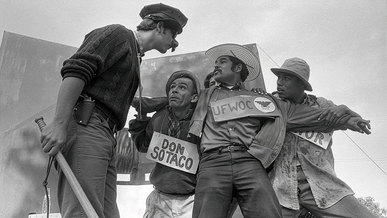 American Pachuco: The Legend of Luis Valdez : Foto