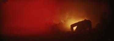 She Loved Blossoms More : Foto