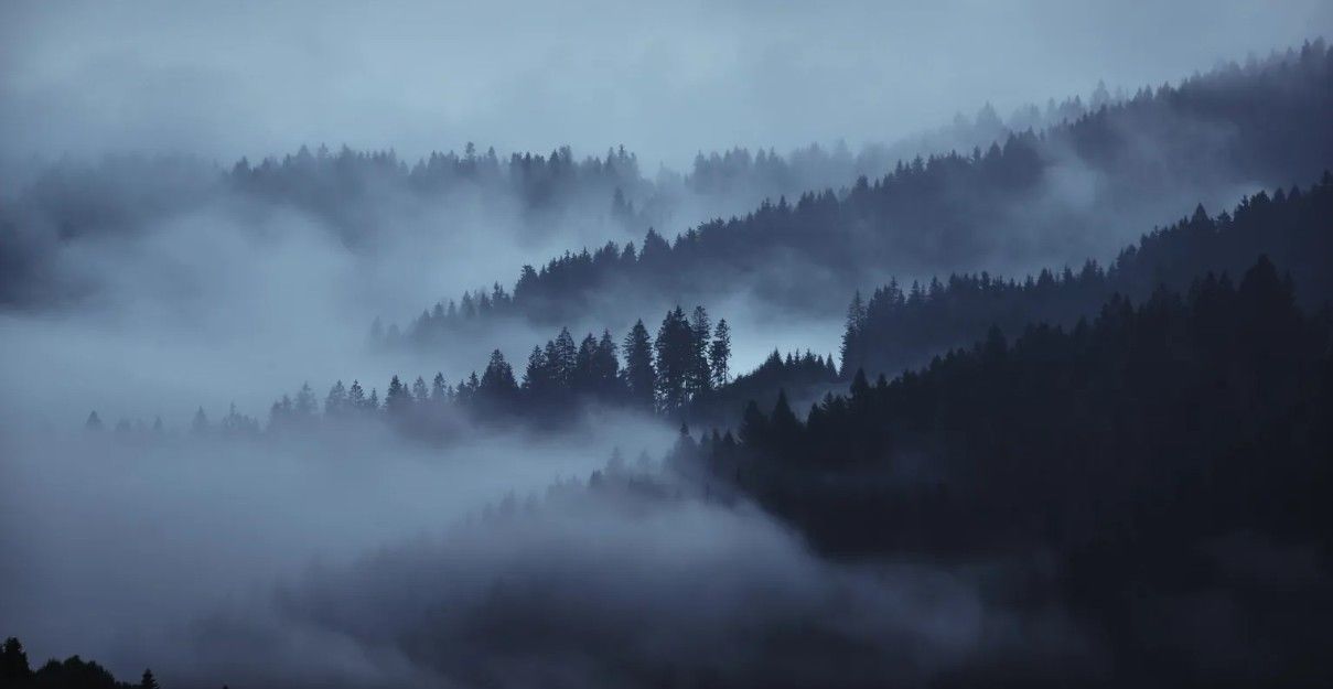 Hunting Matthew Nichols : Foto