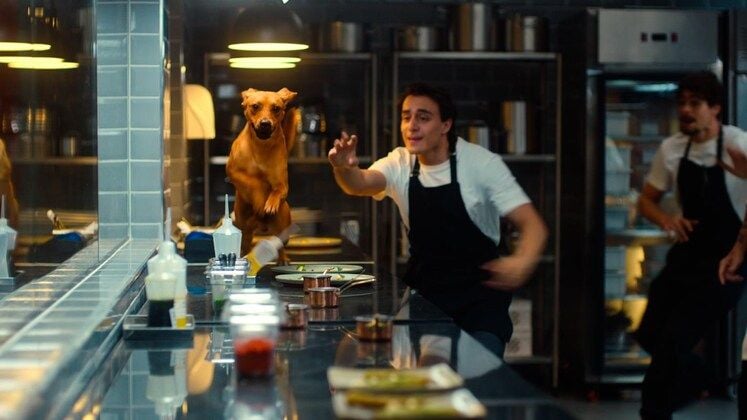 Caramelo : Foto Rafael Vitti