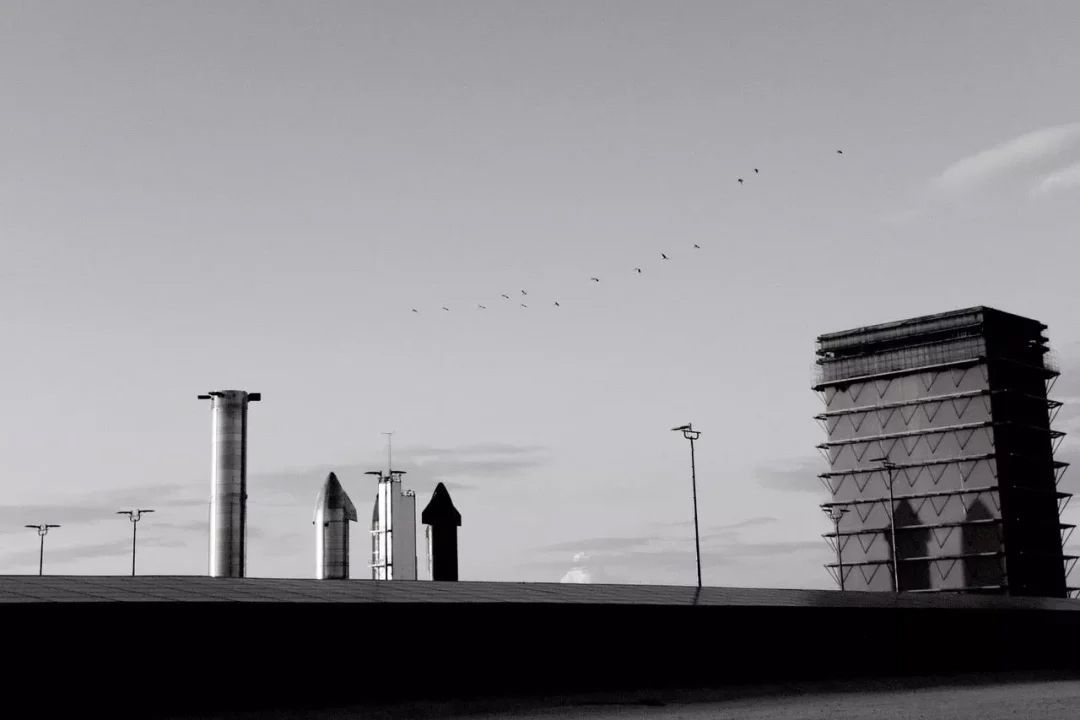 Shifting Baselines : Foto