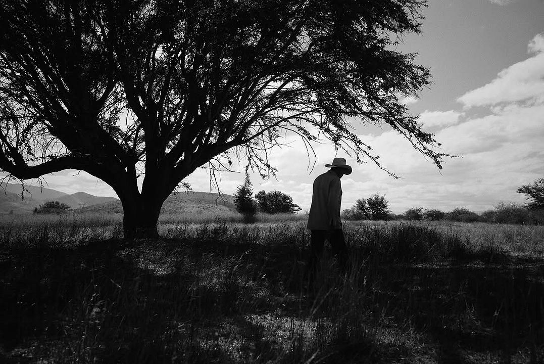 Los amantes se despiden con la mirada : Foto