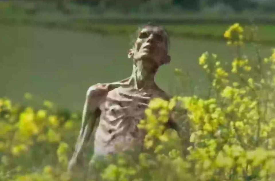 Exterminio: La Evolución : Foto