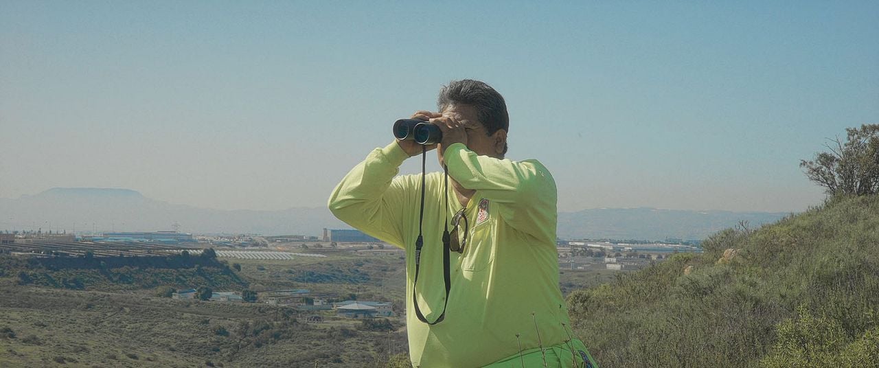 ¿A Dónde Vamos, Coyote? : Foto