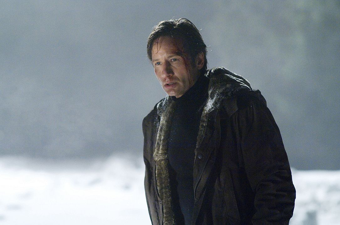 X-Files: Creer es la clave : Foto David Duchovny