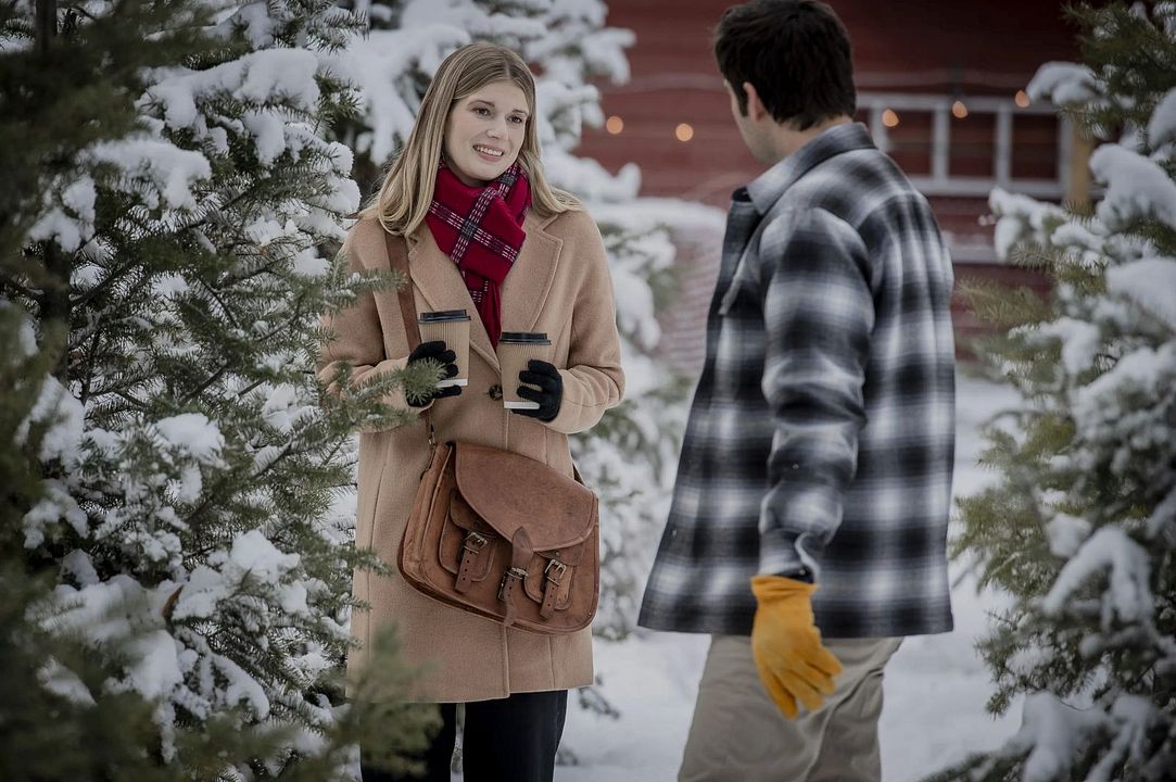 My Favorite Christmas Tree : Foto