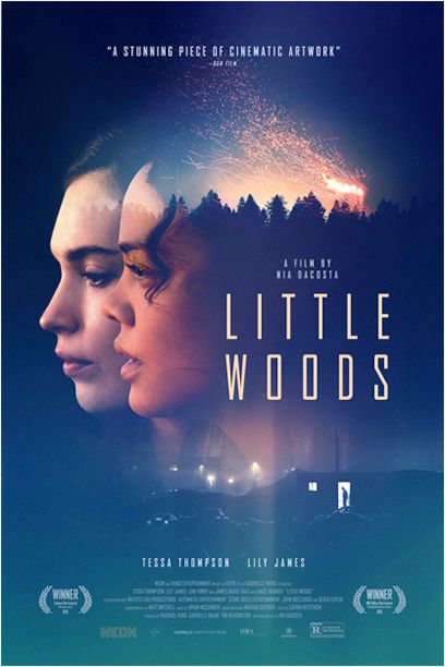 Little Woods : Póster