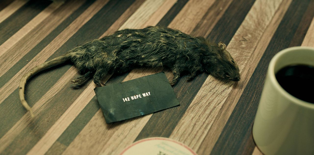 Buena Suerte, Diviértete, No Mueras : Foto