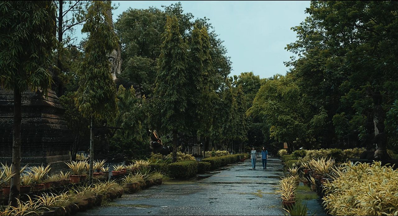 The Observer′s Journal : Foto