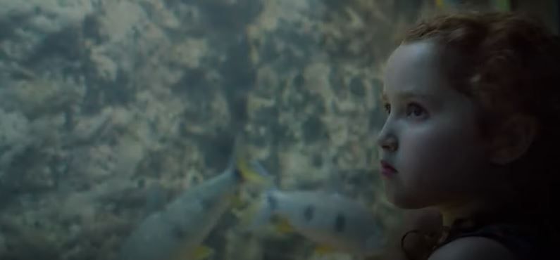 La Sociedad del Afecto : Foto