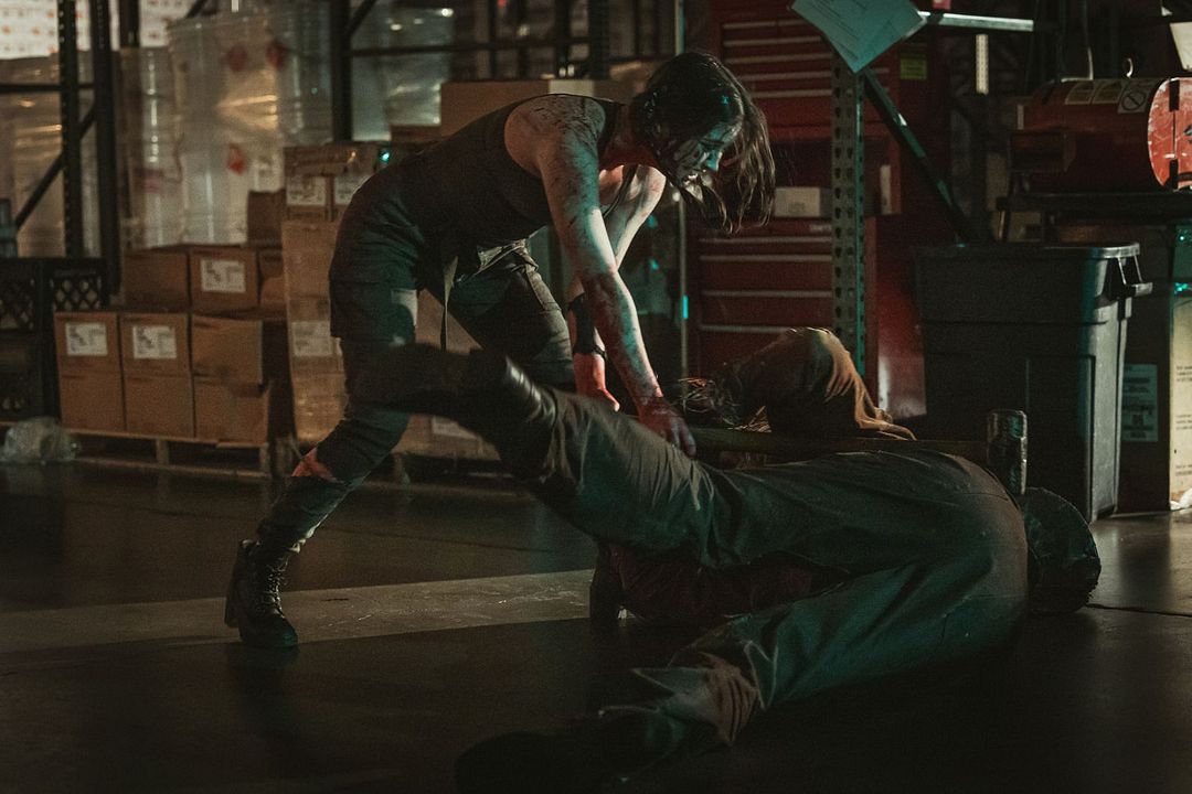 La Noche Del Espantapájaros : Foto