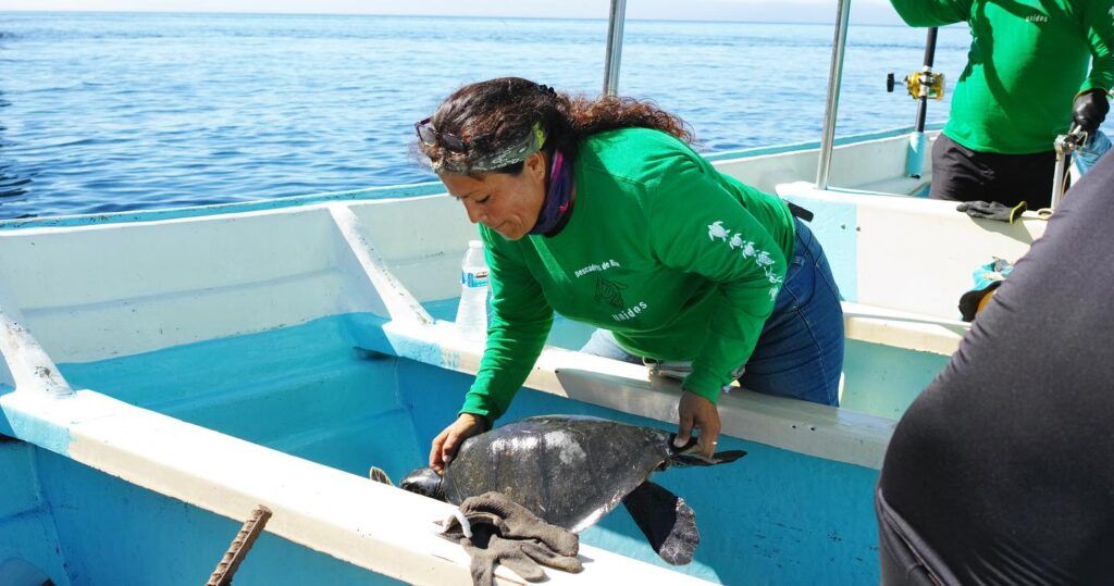 El llanto de las tortugas : Foto