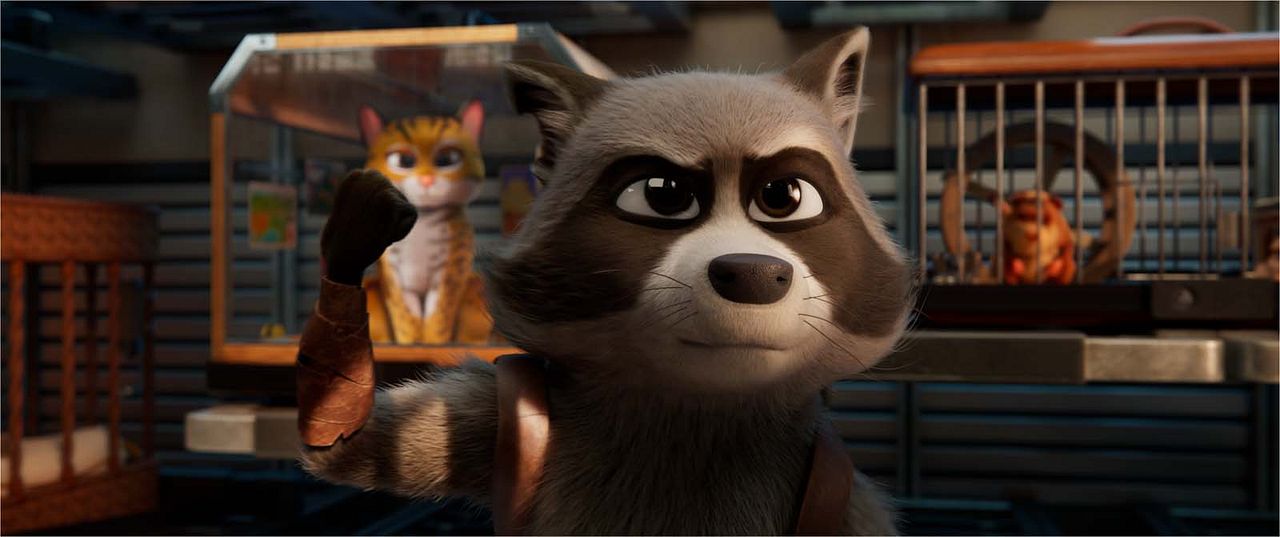 Mascotas al rescate : Foto