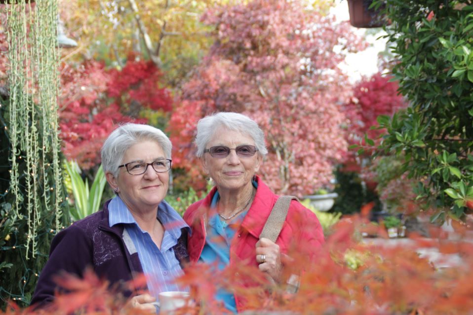 Surviving the Silence : Foto