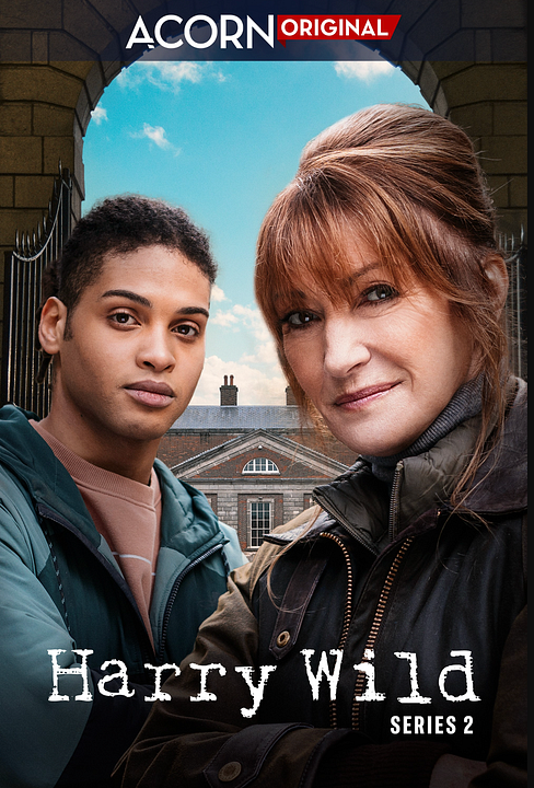 Harry Wild : Póster