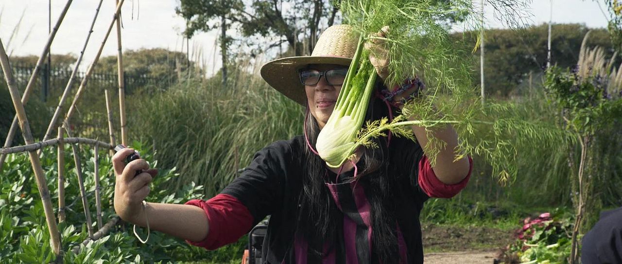 Semillas que caen lejos de sus raíces : Foto