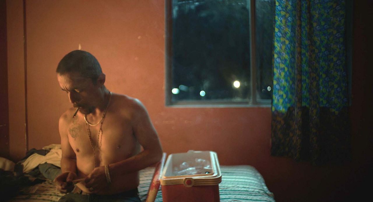 En el camino : Foto