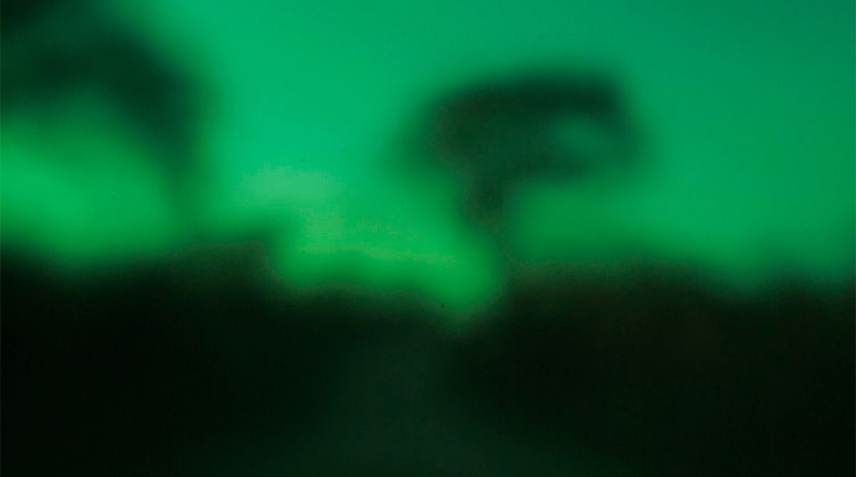 Los incrédulos : Foto