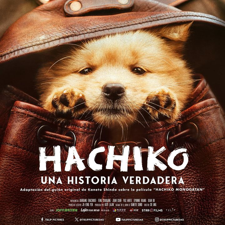 Hachiko: Una historia verdadera : Póster