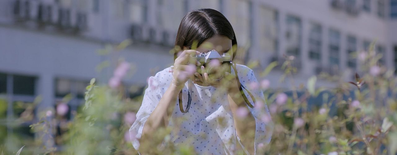 What Happened to the Wolf? : Foto