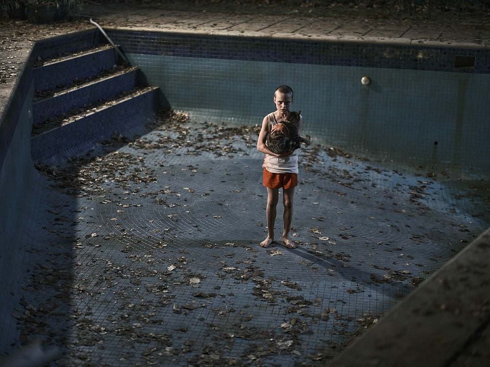 Haz Que Regrese : Foto Jonah Wren Phillips