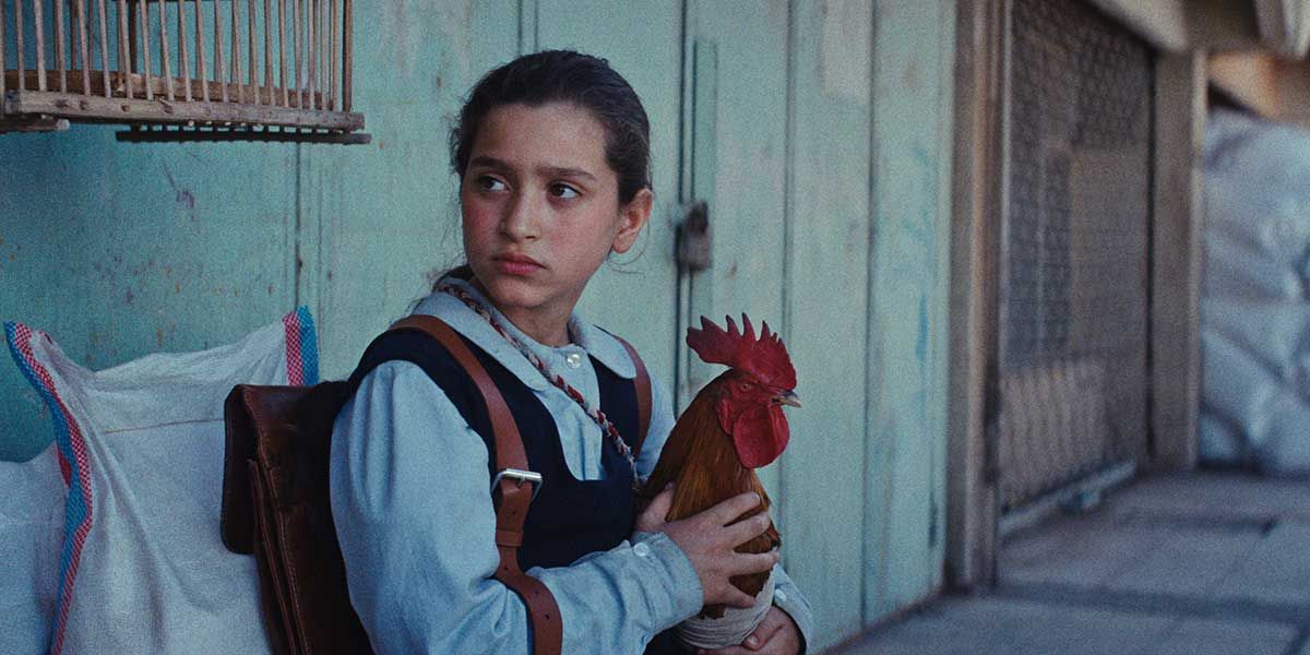 The President’s Cake : Foto