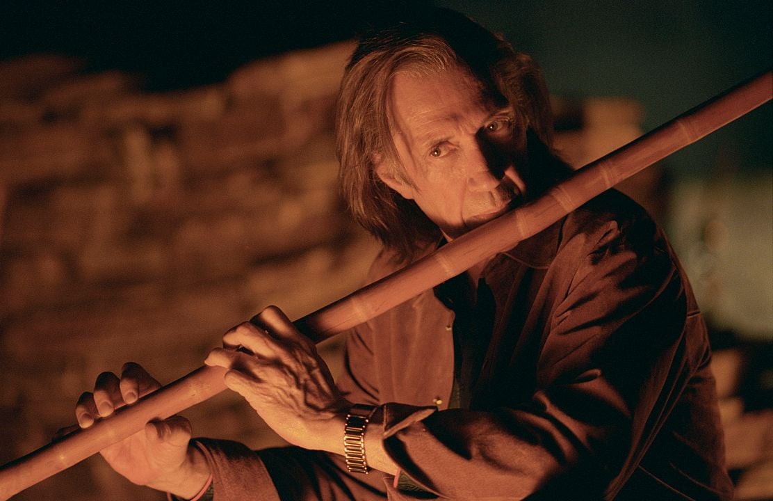 Kill Bill: The Whole Bloody Affair : Foto