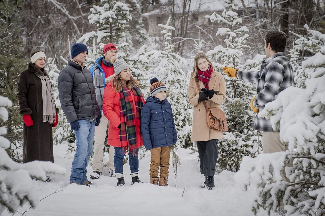 My Favorite Christmas Tree : Foto