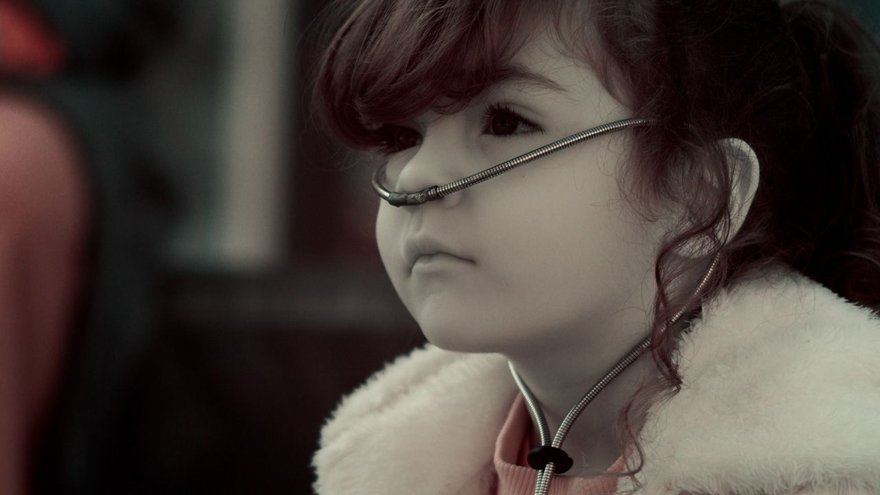 El crepúsculo de las especies : Foto