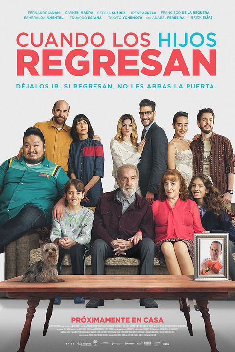 Cuando los hijos regresan : Póster