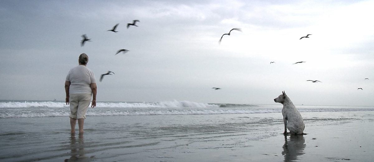 Silencio en la Tierra de los Sueños : Foto