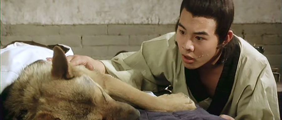 El templo de Shaolin : Foto