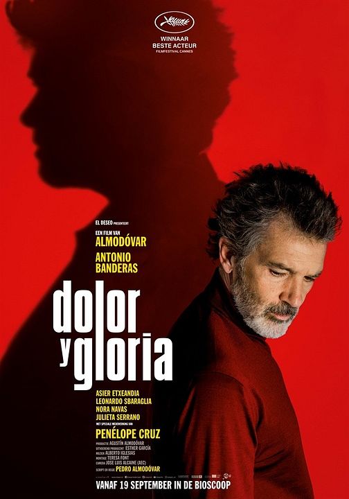 Dolor y gloria : Póster