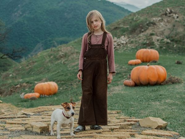 El Maravilloso Mago De Oz : Foto