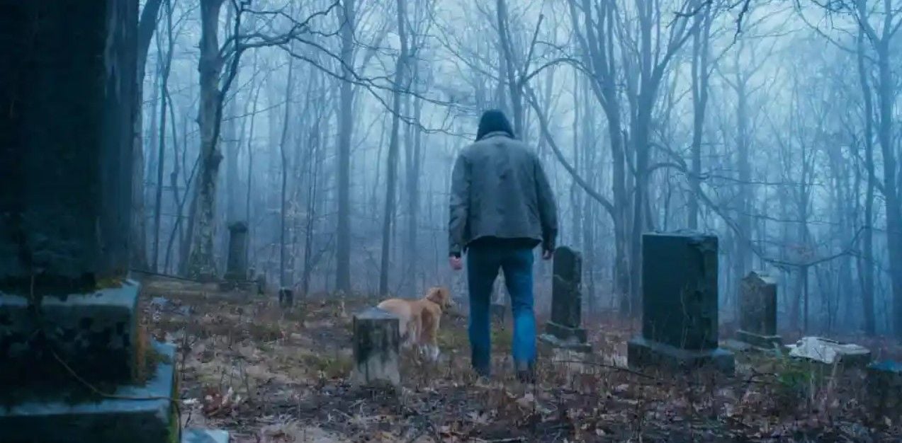 Good Boy: Confía en su instinto : Foto Indy (II) 