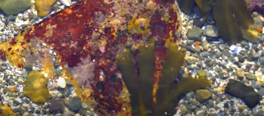 A Sudden Glimpse to Deeper Things : Foto