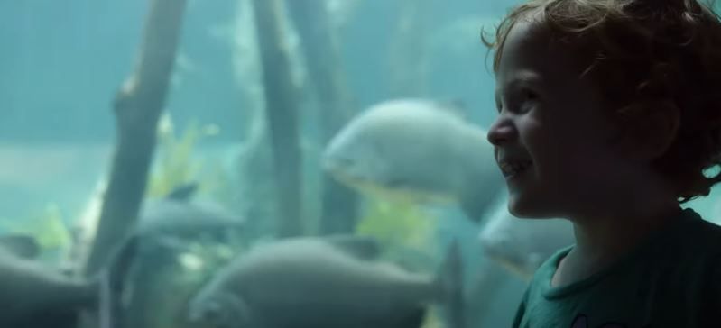 La Sociedad del Afecto : Foto