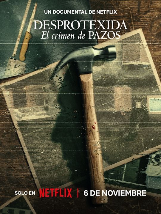 Desprotexida: El crimen de Pazos : Póster