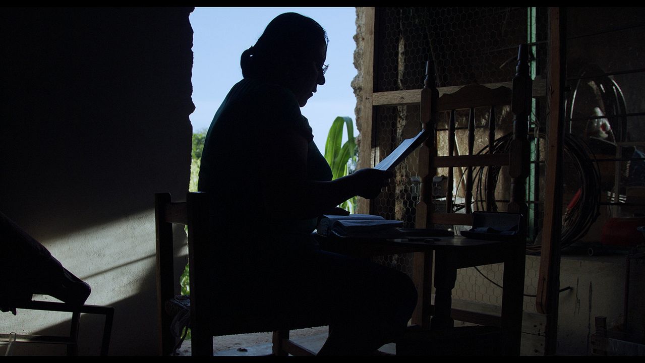 El tiempo de las luciérnagas : Foto