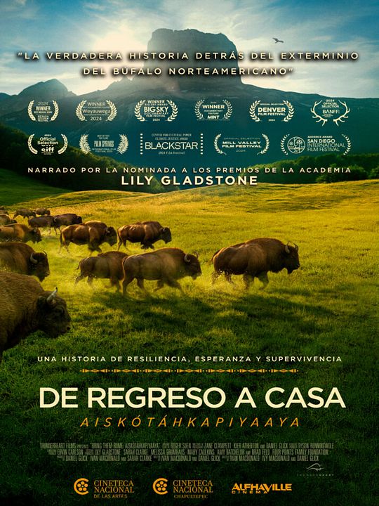 De Regreso a Casa : Póster