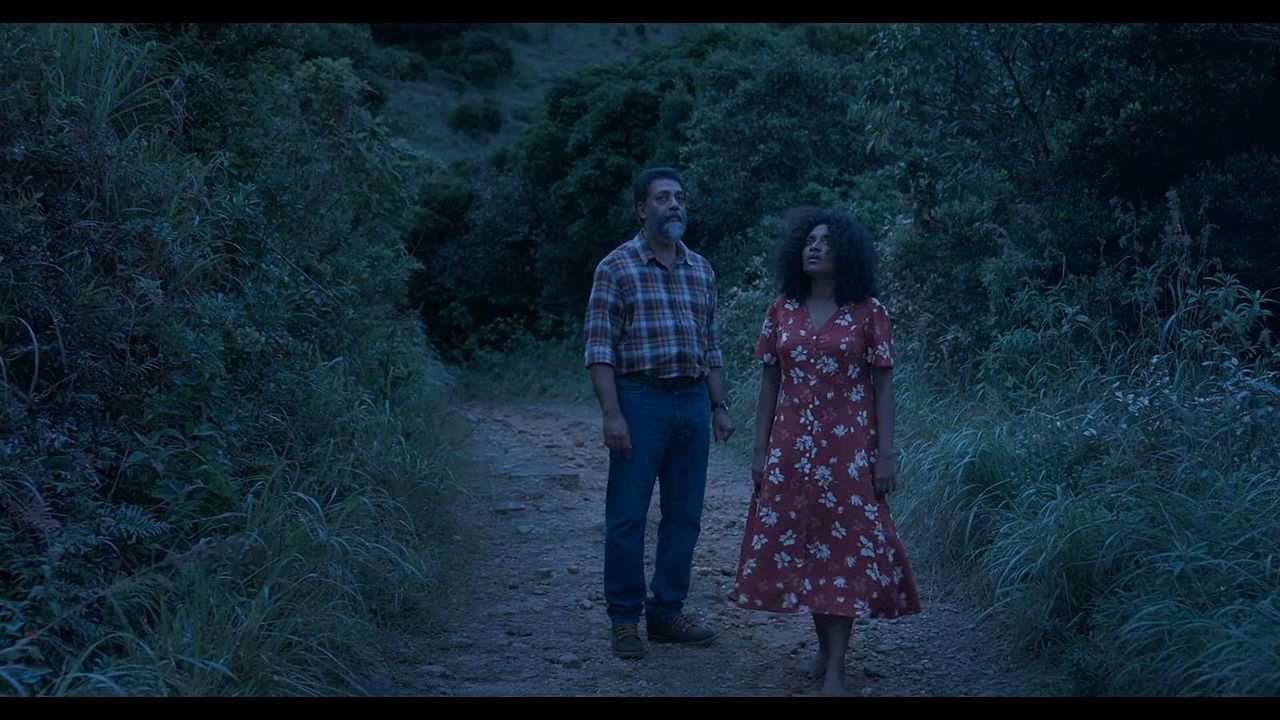 Turtle’s Gaze on Spying Stars : Foto