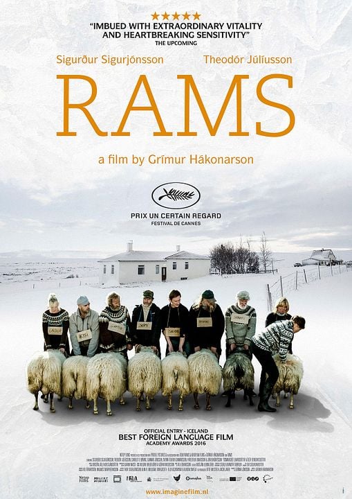 Rams (El valle de los carneros) : Póster