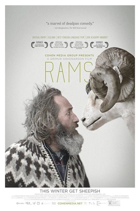 Rams (El valle de los carneros) : Póster