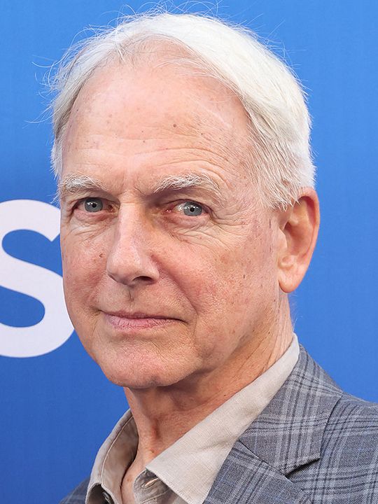 Póster Mark Harmon