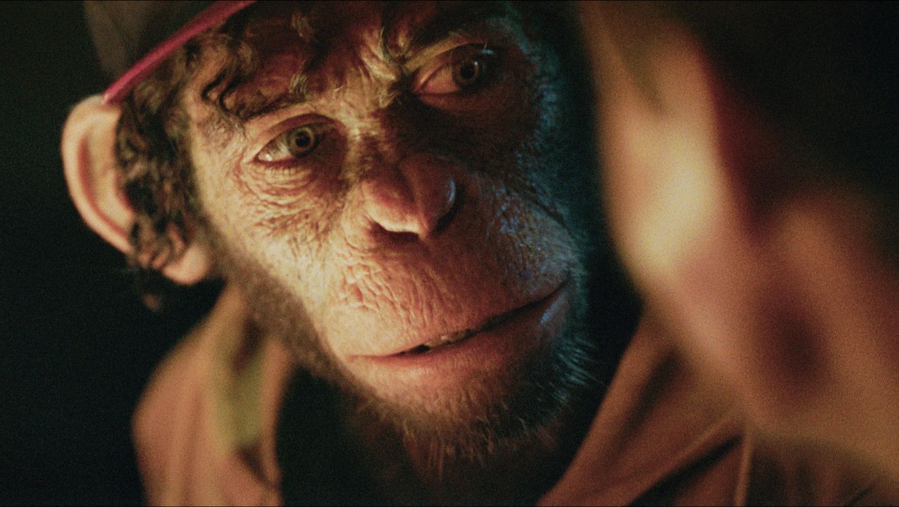 Better Man: La Historia De Robbie Williams : Foto