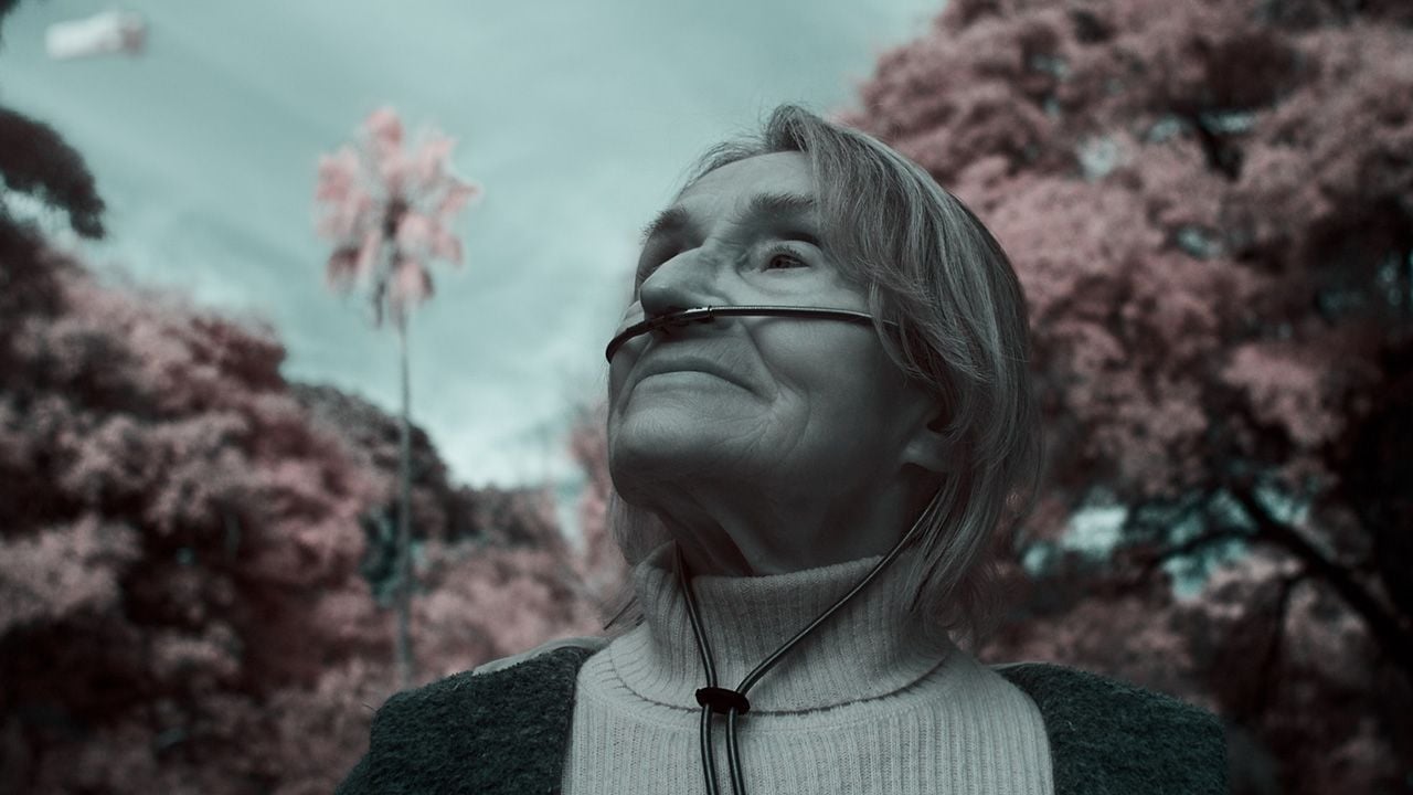 El crepúsculo de las especies : Foto