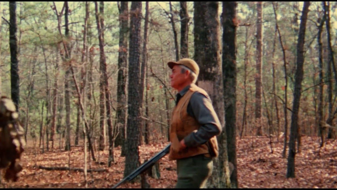 The Legend of Boggy Creek : Foto