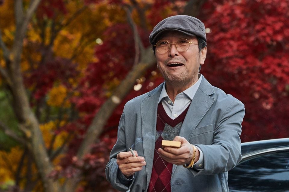 Silver Apricot : Foto