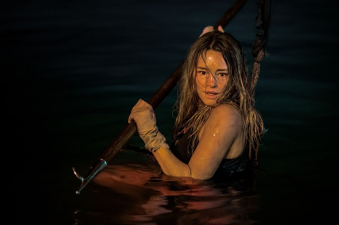  Animales peligrosos : Foto